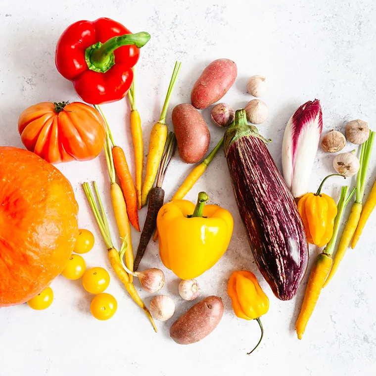 Buntes, saisonales Gemüse wie Paprika, Karotten, Kürbis und Aubergine liegt dekorativ angeordnet.