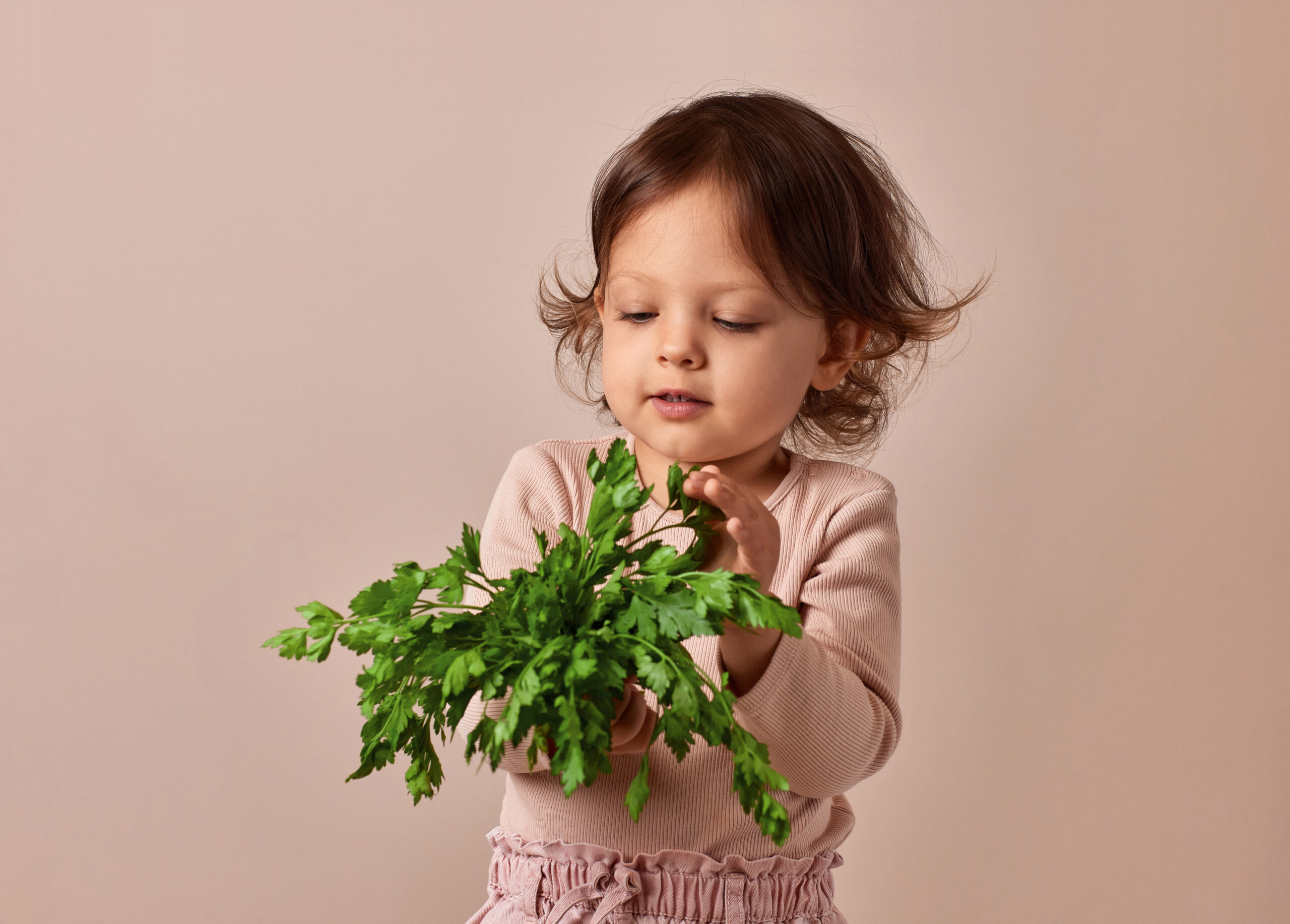 Mehr als nur Deko: Wie Petersilie den Speiseplan bereichert