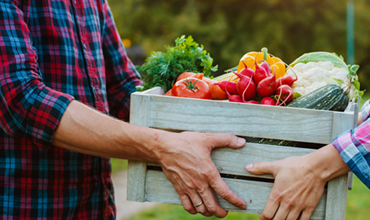 Gemüsekiste wird überreicht